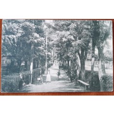 Carte postala, Ocnele Muresului, parcul bailor, 1916