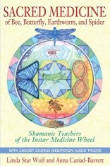Sacred Medicine of Bee, Butterfly, Earthworm, and Spider: Shamanic Teachers of the Instar Medicine Wheel [With CD (Audio)]
