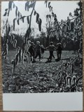 Copii dansand, primavara// fotografie de presa