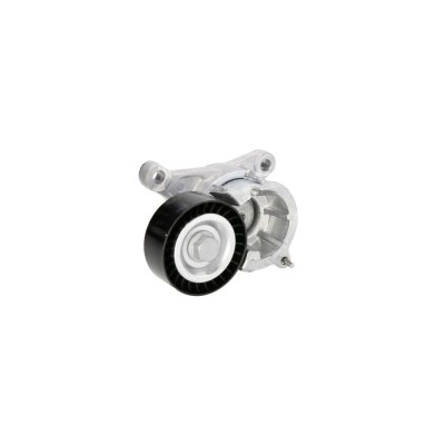 Intinzator curea FIAT SCUDO Combinato 220P DAYCO APV2264 foto