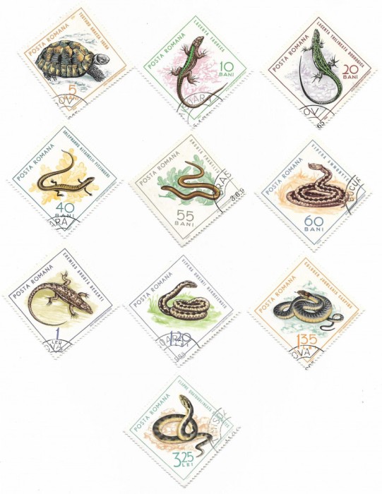 Romania (218) - Reptile, 1965 - serie obliterata