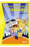 Cangurul - Clasele 5-6 - Probleme de matematica aplicata