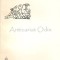 Cint Solar - Alexandre Amprimoz