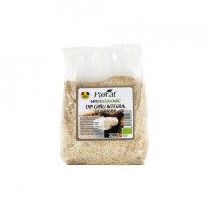 GRIS ECOLOGIC 600GR foto