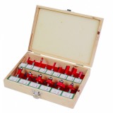 Set freze profilate pentru lemn, coada 8 mm, 15 piese, Raider Power Tools