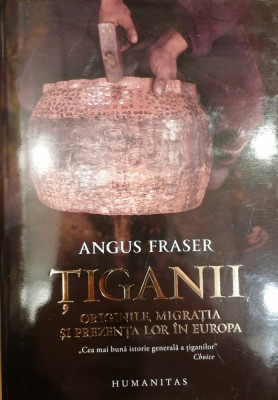 Tiganii. Originile, migratia si prezenta lor in Europa foto