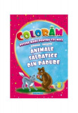 Animale sălbatice din pădure. Desene mari pentru cei mici rom&acirc;nă-engleză - Paperback - Eurobookids