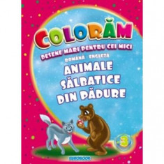 Animale sălbatice din pădure. Desene mari pentru cei mici română-engleză - Paperback - Eurobookids