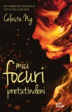 Mici focuri pretutindeni | Celeste Ng, Litera