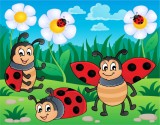 Fototapet Buburuze