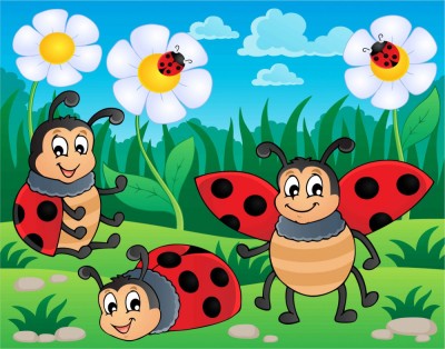 Fototapet Buburuze foto