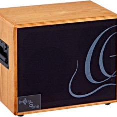Ortega S ONE Cabinet Acoustic 150W