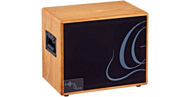 Ortega S ONE Cabinet Acoustic 150W foto