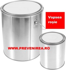 Vopsea pentru asfalt si beton rosie foto