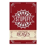 Fantastic Beasts and Where to Find Them Journal