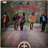 Mind Garage &ndash; Again! - The Electric Liturgy VG / VG vinil, LP, disc rock psychedelic, acid rock _ RCA, SUA, 1970