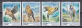 Guineea 2019 - Specii de Vrăbii, MNH
