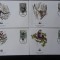 Vietnam-WWF,FDC maimute-set complet