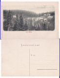 Paltinis (Sibiu, Hermannstadt )-rara, Necirculata, Printata