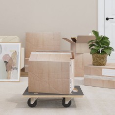 vidaXL Cărucioare transport 2 buc dreptunghiulare 50x35x11,5 cm 250 kg