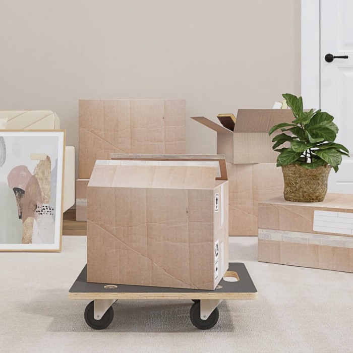 vidaXL Cărucioare transport 2 buc dreptunghiulare 50x35x11,5 cm 250 kg