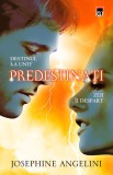 Predestinati - Editura Rao