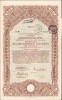 HST A650 Bon de stat austro-ungar la purtător 1917 cu ștampile rom&acirc;nești