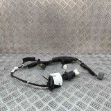 Cablaj ușă st&acirc;nga spate NISSAN LEAF ZE1 2019 OEM: 24127-5SH0A 28363521