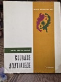 Covoare anatoliene - Catalog - Andrei Kertesz Badrus