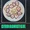 Citodiagnosticul prin punctie in practica medicala - 1971 - George Popa (AE77)