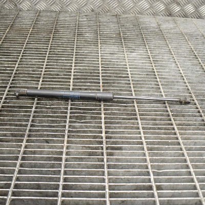 Amortizor capota st&amp;acirc;nga față BMW 3 E90 2008 OEM: 7060550 10610577 foto
