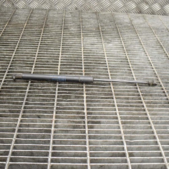 Amortizor capota st&acirc;nga față BMW 3 E90 2008 OEM: 7060550 10610577