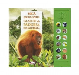Glasuri din pădurea ecuatorială - Hardcover - Andrea Pinnington, Caz Buckingham - Aramis