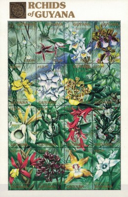 GUYANA 1990 - Orhidee/ colita MNH foto