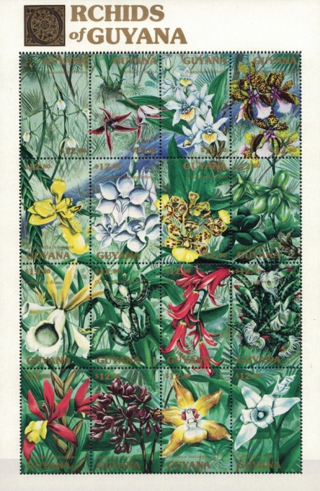GUYANA 1990 - Orhidee/ colita MNH