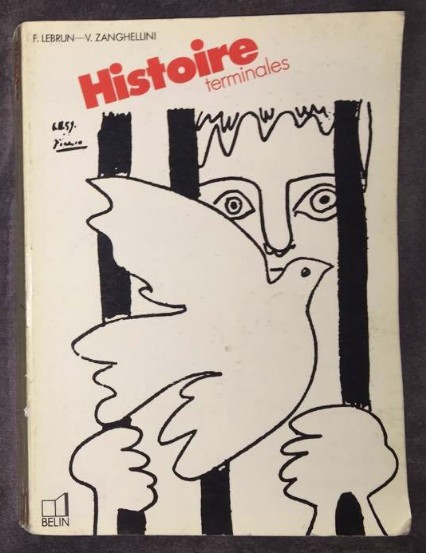 Histoire: terminales A, B, C, D / F. Lebrun, V. Zanghellini