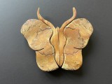 Decor de perete fluture din lemn de pin, designer suedez Kjell Wallering anii 70