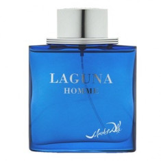 Salvador Dali Laguna Homme eau de Toilette pentru barbati 100 ml foto