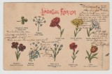 bnk cp Limbagiul florilor - carte postala circulata 1901