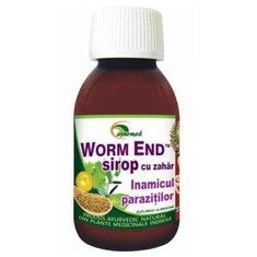 Sirop Worm End Star Interntional 100ml