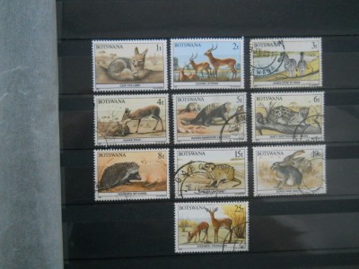 CN BOTSWANA FAUNA foto