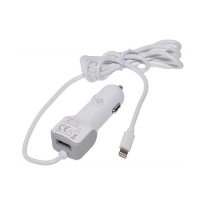 Incarcator USB, auto, 12V, rapid, 3,1A, Lightning, plus USB, 196834 foto