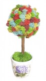 Copacel EVENTISSIMI - Licheni Stabilizati , zCurcubeu, , Multicolor, 25 cm