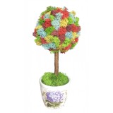 Copacel EVENTISSIMI - Licheni Stabilizati , zCurcubeu, , Multicolor, 25 cm