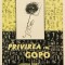 Privirea lui Gopo, Grid Modorcea, cotor prost realizat