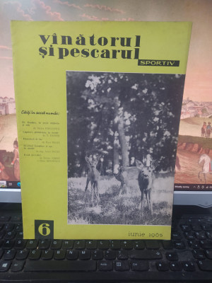 V&amp;acirc;nătorul și pescarul sportiv nr. 6 1965, Căpriori, primăvara, la munte, 137 foto