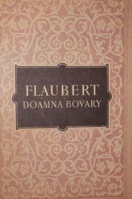 DOAMNA BOVARY foto