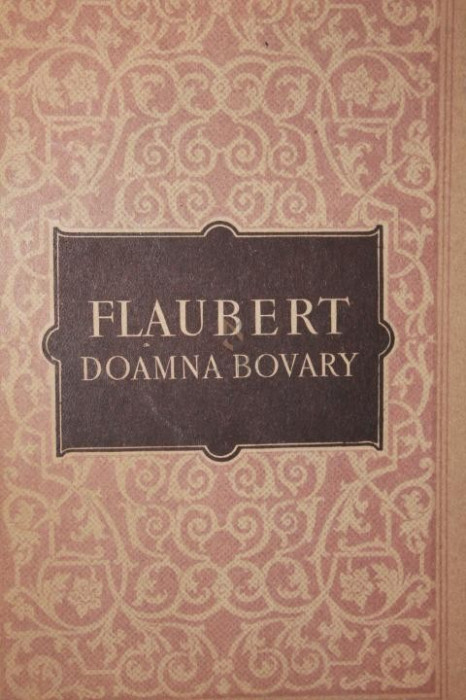 DOAMNA BOVARY