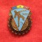INSIGNA -A 2-A SPARTACHIADA A TINERETULUI -1957