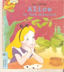 Mini Egmont- nr.7 foto